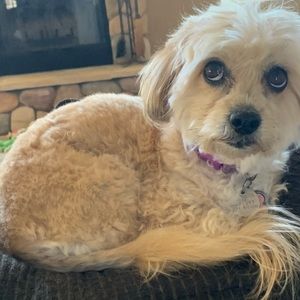 Meet your Posher, Kailee